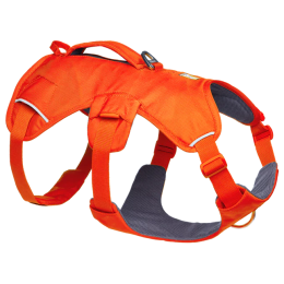 Шлея для собаки Ruffwear Web Master™ Harness помаранчевий Blaze Orange