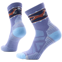 Шкарпетки Smartwool Women's Hike Light Cushion Fox Meadow Mi синій