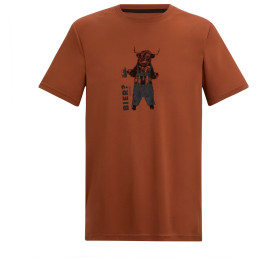 Чоловіча футболка Dare 2b Fingal Slogan коричневий Brick