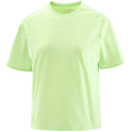 Жіноча футболка Salomon Trackline SS Tee зелений Butterfly