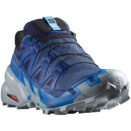 Чоловічі кросівки Salomon Speedcross 6 Gore-Tex