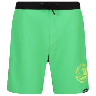 Плавки Regatta Bentham swim short зелений Fairway Green/Black