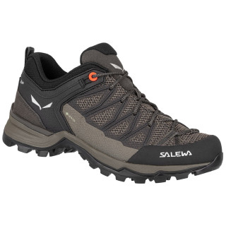 Salewa Ws Mtn Trainer Lite Gtx