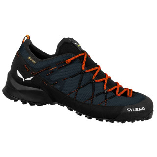 Чоловічі черевики Salewa Wildfire 2 Gtx M синій