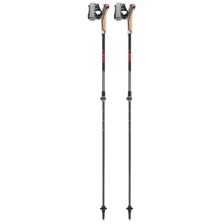 Leki Poles Instructor Lite