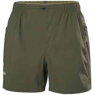 Жіночі шорти Helly Hansen W Vista Hike Shorts зелений