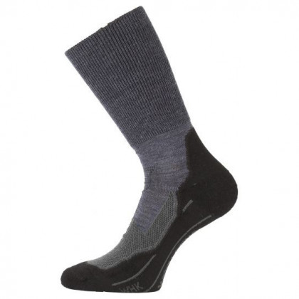 Шкарпетки Lasting WHK сірий/чорний