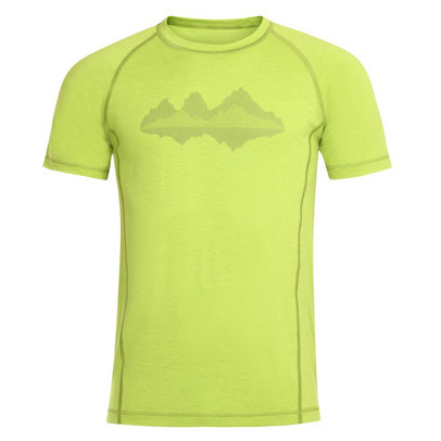 Чоловіча футболка Alpine Pro Revin зелений