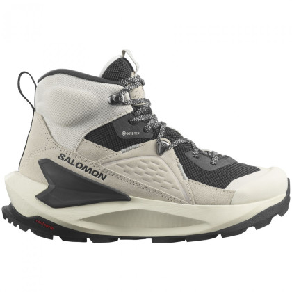 Жіночі черевики Salomon Elixir Mid Gore-Tex