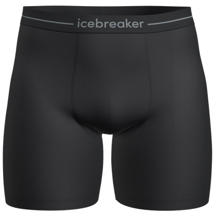 Чоловічі боксери Icebreaker M Anatomica Long Boxers чорний Black