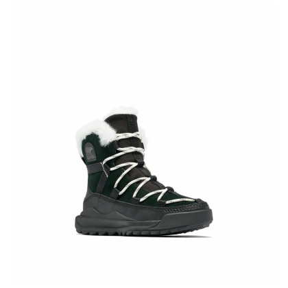 Жіночі зимові черевики Sorel Ona™ Rmx Glacy Plus Wp чорний/білий Black, Sea Salt