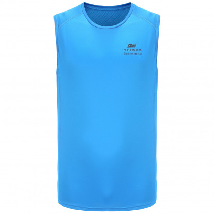 Чоловіча футболка Alpine Pro Merip синій