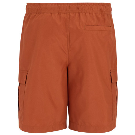 Плавки Regatta Blanmont Swim Short