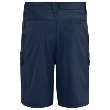 Чоловічі шорти Regatta Arlery Shorts