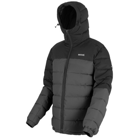 Чоловіча куртка Regatta Aldthorn