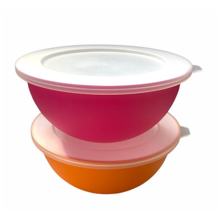 Набір мисок Omada Sanaliving Bowls Set 1,7L + 1,7L & 2x lids