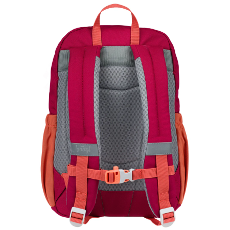 Дитячий рюкзак Baagl Buddy