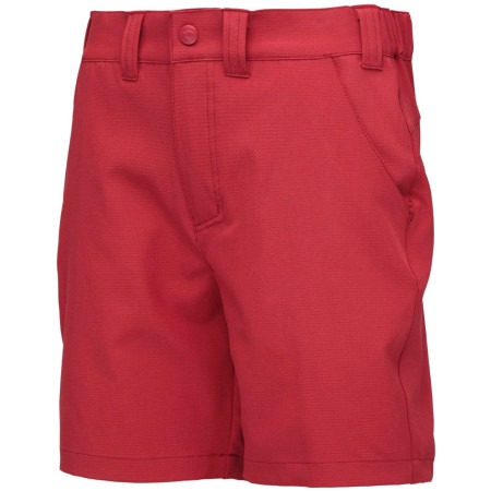 Жіночі шорти Loap Uzluna