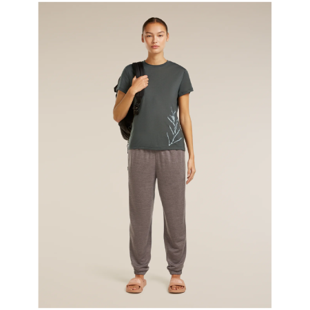 Жіноча функціональна футболка Icebreaker Merino Blend Core SS Tee Panax