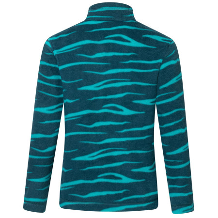 Дитяча толстовка Regatta Hot Shot II MeditZebra