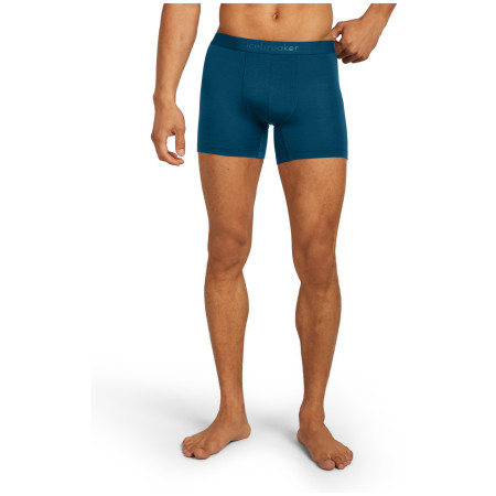 Чоловічі боксери Icebreaker M Mer 125 Cool-Lite Anatomica Boxers