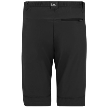 Чоловічі штани Regatta Mountain Z/O Trousers
