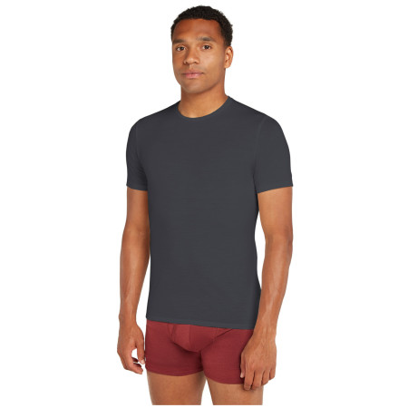 Чоловіча футболка Icebreaker M Anatomica SS Crewe