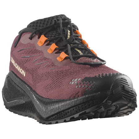 Жіночі кросівки Salomon Aero Blaze 4 Grvl W