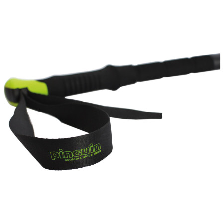 Трекінгові палиці Pinguin Compact FL Foam