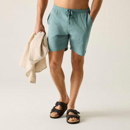 Чоловічі шорти Regatta Hadlin Shorts