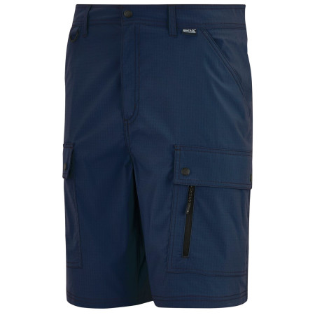 Чоловічі шорти Regatta Arlery Shorts