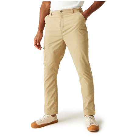 Чоловічі штани Regatta Dalry Trouser