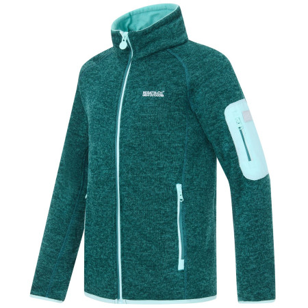Дитяча толстовка Regatta Junior Newhill DrkForGlacGr