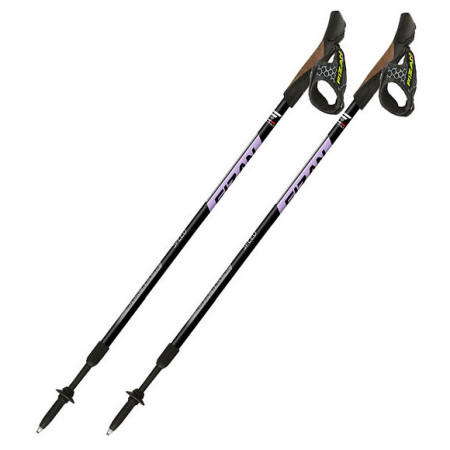 Палиці Fizan NW Speed