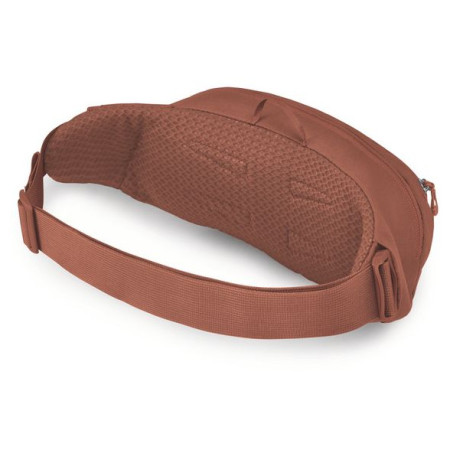 Поясна сумка Osprey Daylite Waist