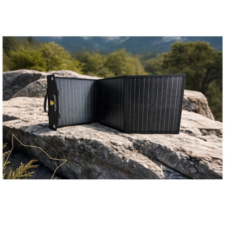 Сонячна панель Viking Technology Viking L60 PD