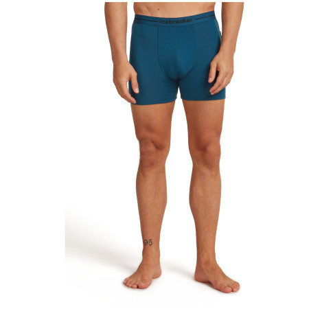 Чоловічі боксери Icebreaker Men Merino 150 Anatomica Boxers