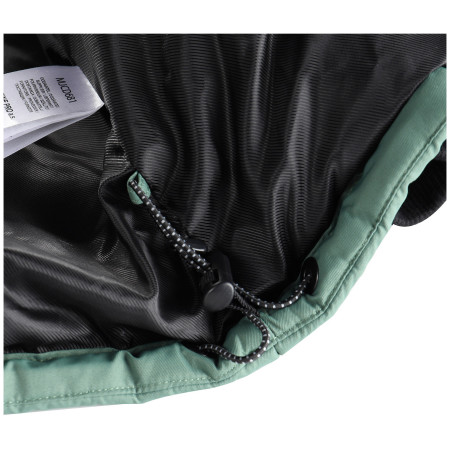 Чоловіча куртка Alpine Pro Werd