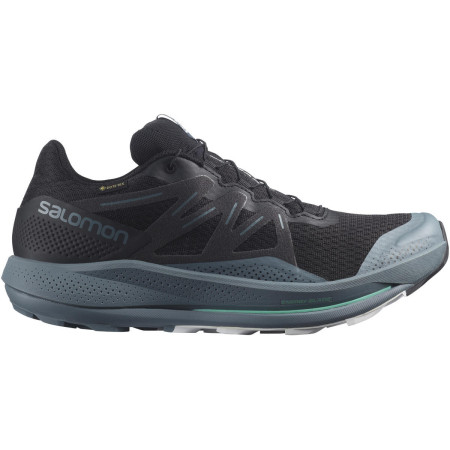 Чоловічі кросівки Salomon Pulsar Trail Gtx чорний/синій