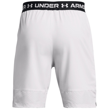 Чоловічі шорти Under Armour Vanish Woven Shorts