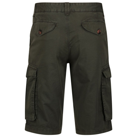 Чоловічі шорти Regatta Shorebay Short