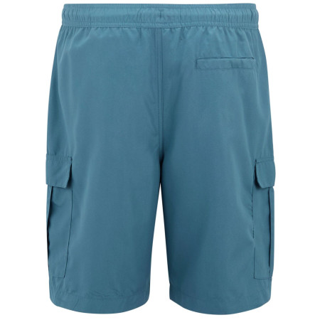 Плавки Regatta Blanmont Swim Short