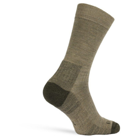 Шкарпетки Bridgedale Field Range LW MP Boot зелений olive/531