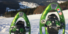 Тест:Снігоступи TSL 325 Ride
