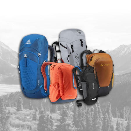 Рюкзаки - 800 моделей, знижки до 60%