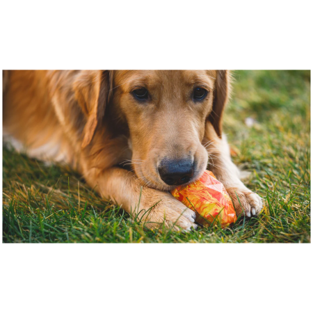 Іграшка для собак Ruffwear Gnawt-a-Cone™ Toy