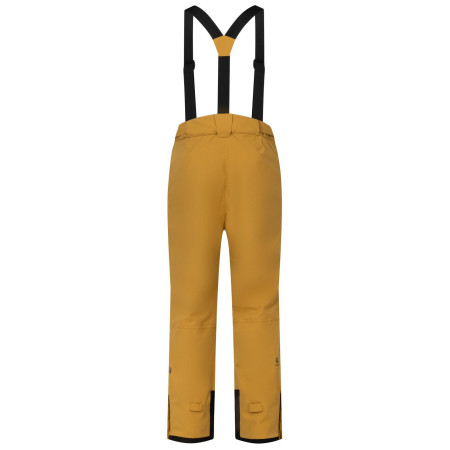 Чоловічі штани Dare 2b Achieve III Pant regular