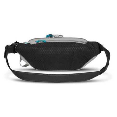 Поясна сумка Pacsafe ECO waist pack