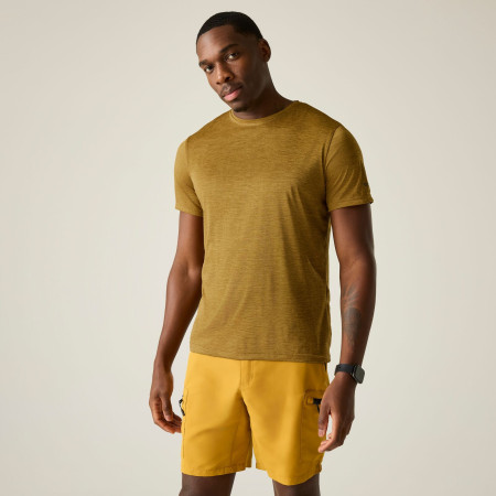 Чоловіча футболка Regatta Fingal Edition