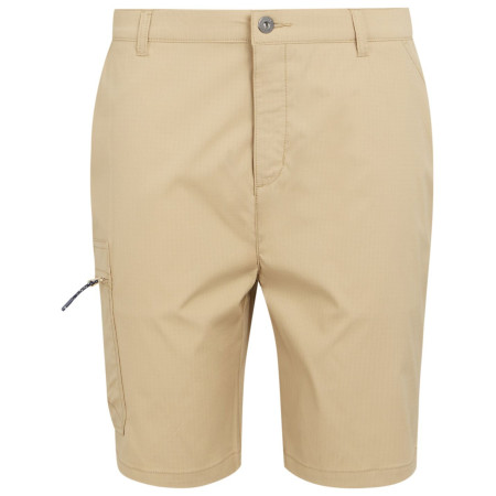 Чоловічі шорти Regatta Dalry Short бежевий